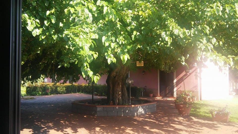 Agriturismo Il Pozzo Antico Mascali Eksteriør bilde